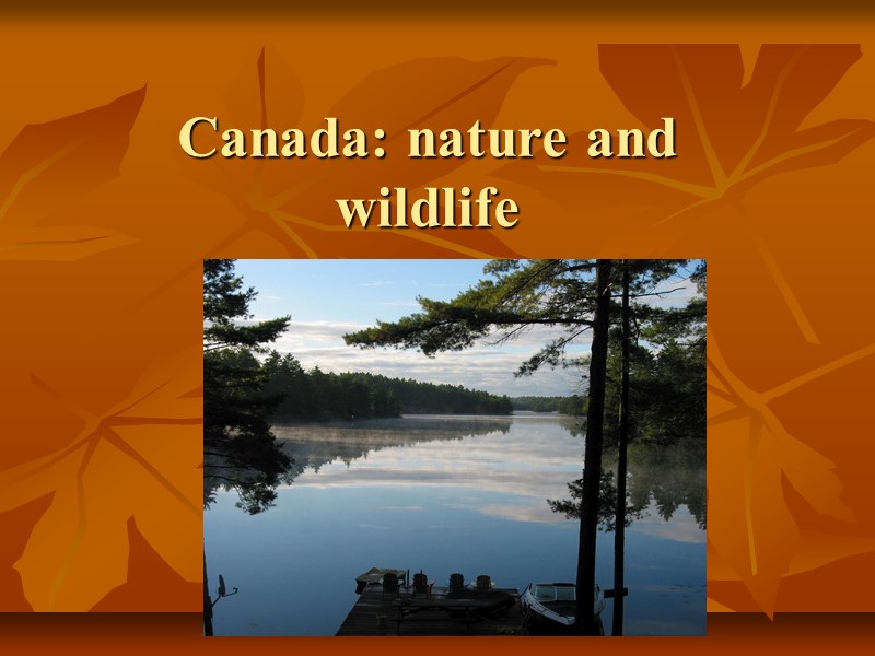 Canada: nature and wildlife